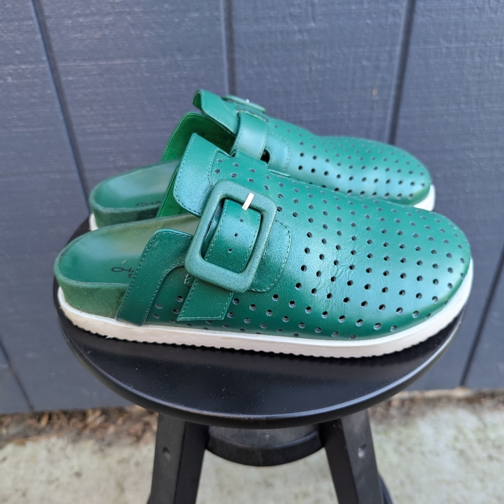 Charlotte Stone Green Mules Size 7